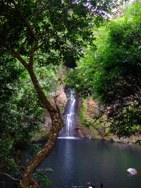 Mauritius 2010 - 0291 